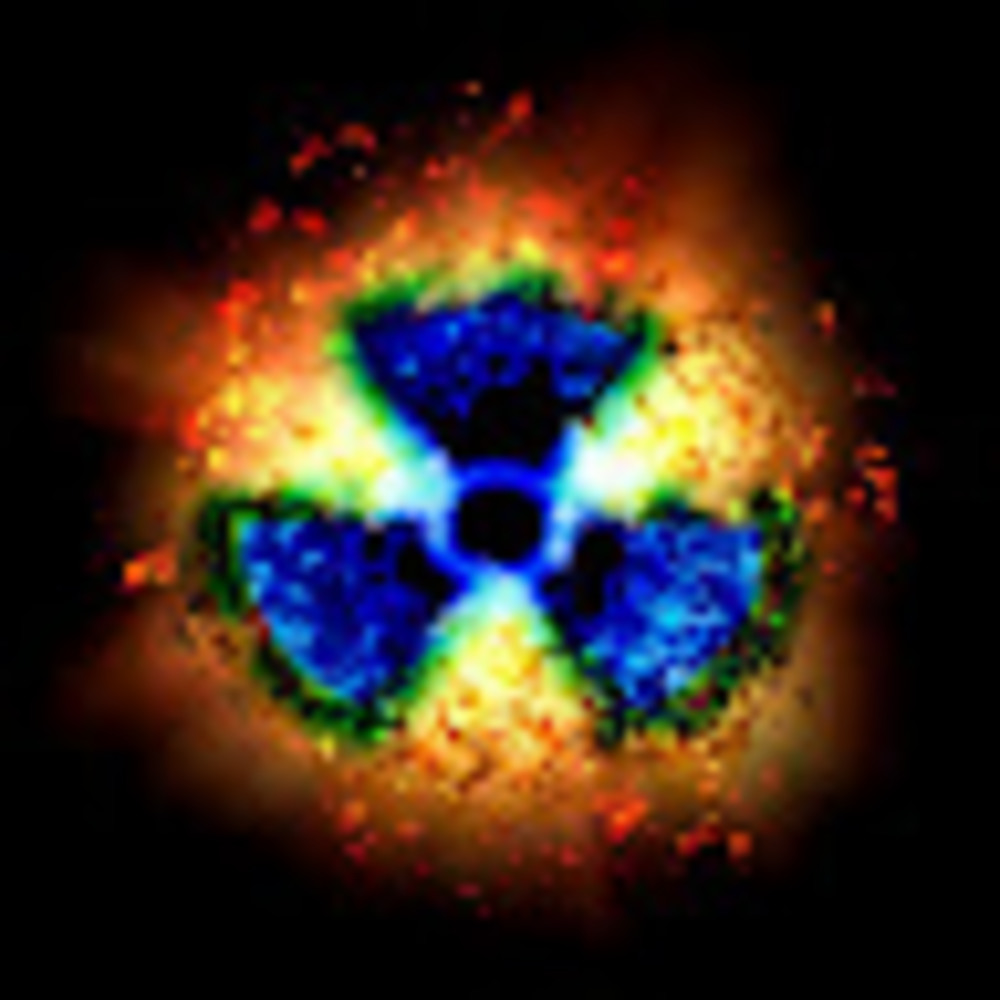 Meet your Posher, Jenn